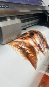 Warum Poster drucken in Bonn